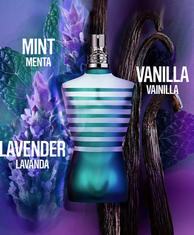 Le Male EDT JPG - Decants